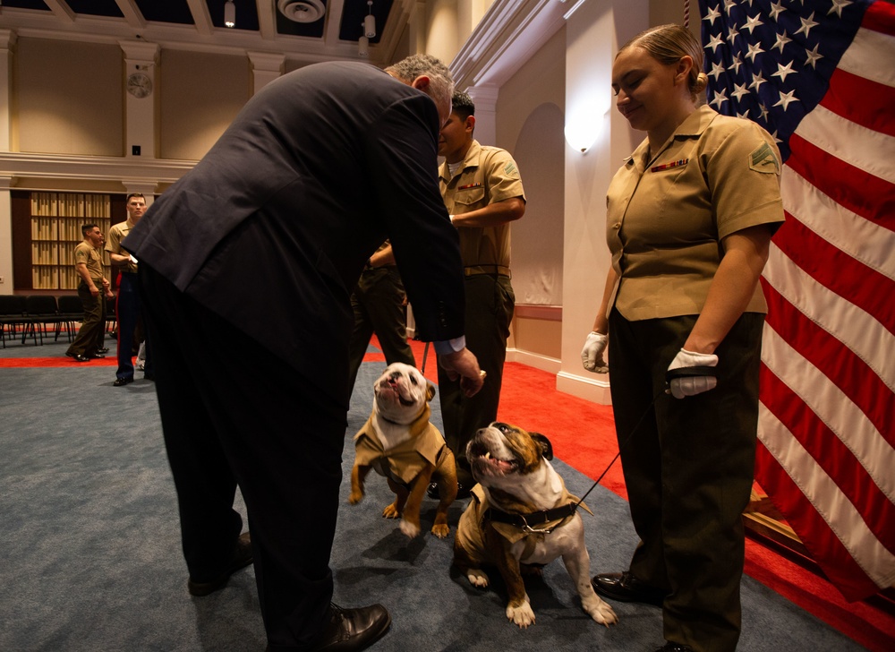 Private Chesty XVI relieves Lance Cpl. Chesty XV as the official Marine Corps mascot