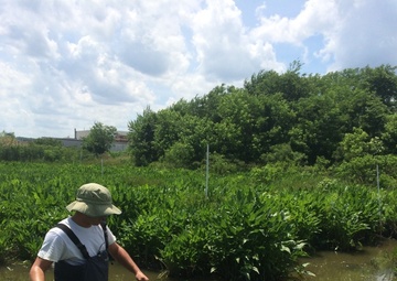 Naval Facilities Engineering and Expeditionary Warfare Center