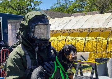 Sentinel Response 2022