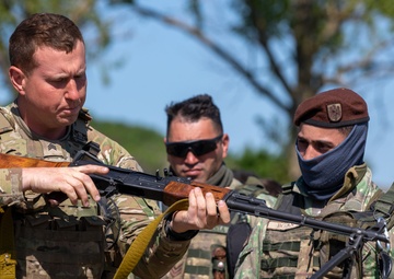 NATO Soldiers Develop Everlasting Partnership