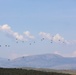 Exercise Swift Response 2022 DV-Day