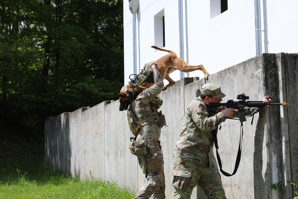 Soldier tested on detection skills in tactical environment at 2022 International Working Dog Competition