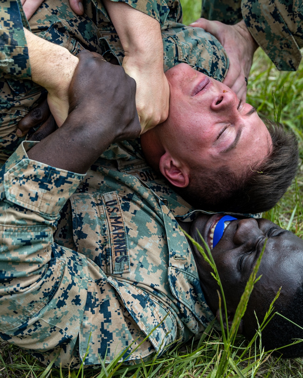 Marines with Bravo Company refine small-unit tactics and infantry skills in a squad competition