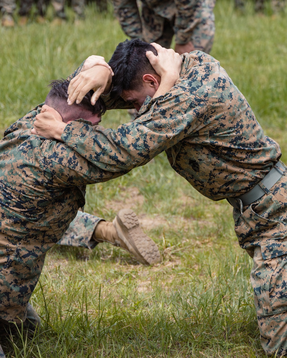 Marines with Bravo Company refine small-unit tactics and infantry skills in a squad competition