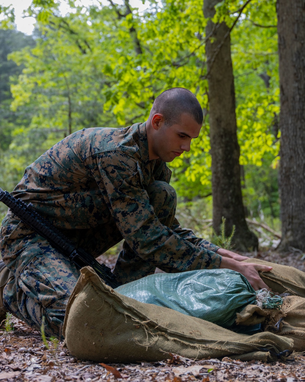 Marines with Bravo Company refine small-unit tactics and infantry skills in a squad competition