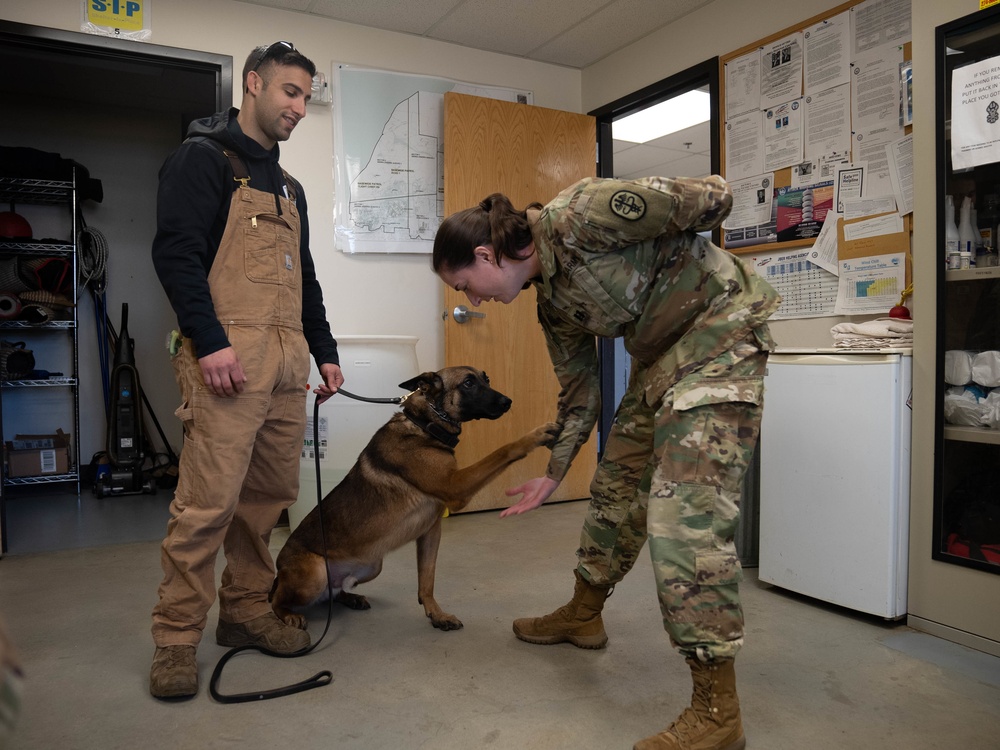 Ophthalmologist screens 673d Security Forces Squadron military working dogs
