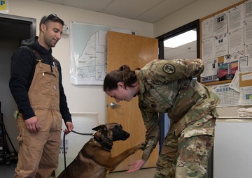 Ophthalmologist screens 673d Security Forces Squadron military working dogs