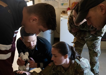 Ophthalmologist screens 673d Security Forces Squadron military working dogs