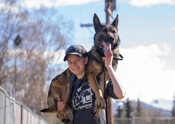 Ophthalmologist screens 673d Security Forces Squadron military working dogs