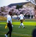 2022 Sakura Olympics