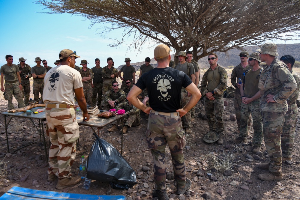 CJTF-HOA service members participate in French Desert Commando Course