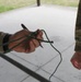 2022 Eighth Army Best Warrior and Squad Competition