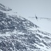 Maryland A-10s in Norway