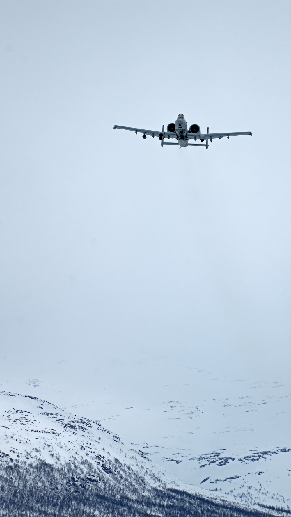 Maryland A-10s in Norway