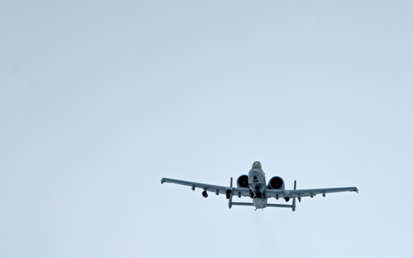 Maryland A-10s in Norway