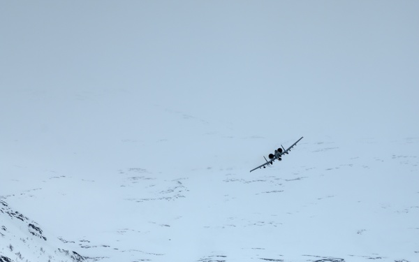 Maryland A-10s in Norway