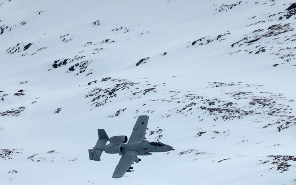 Maryland A-10s in Norway