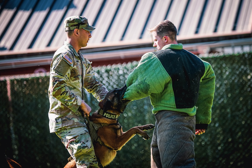 Hardest Hitting Dog Event 2022 International Working Dog Competition