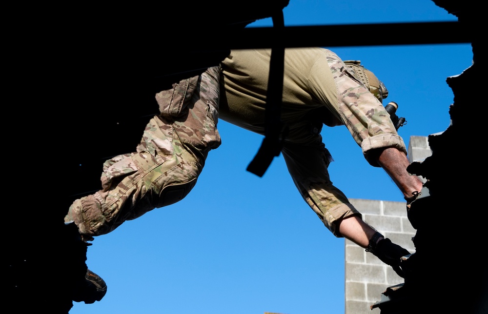 Emerald Warrior 22.1