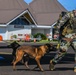 The 36th Airlift Squadron give Marara 22 participants a lift