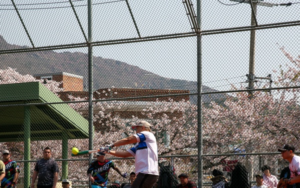 CFAC Wooden Bat Tournament