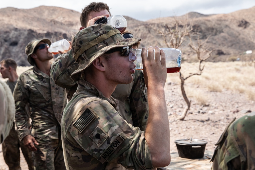 CJTF-HOA members participate in French Desert Commando Course