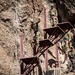 CJTF-HOA members participate in French Desert Commando Course