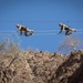 CJTF-HOA members participate in French Desert Commando Course