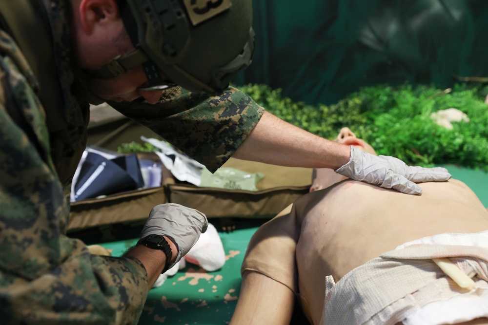 31st MEU Bleeds New Life in Valkyrie Training