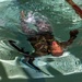 Pfc. Jordan Watson swims with his weapon
