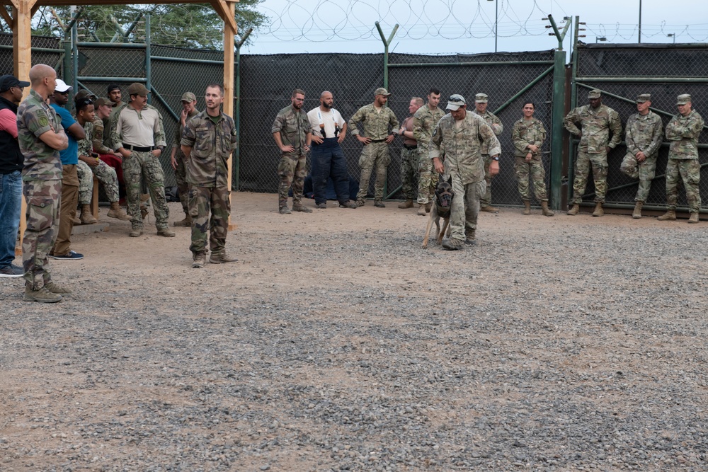 Canine soldiers from US, France and Italy train in Africa