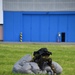 Belgian special forces paratroopers train on Chievres  Air base