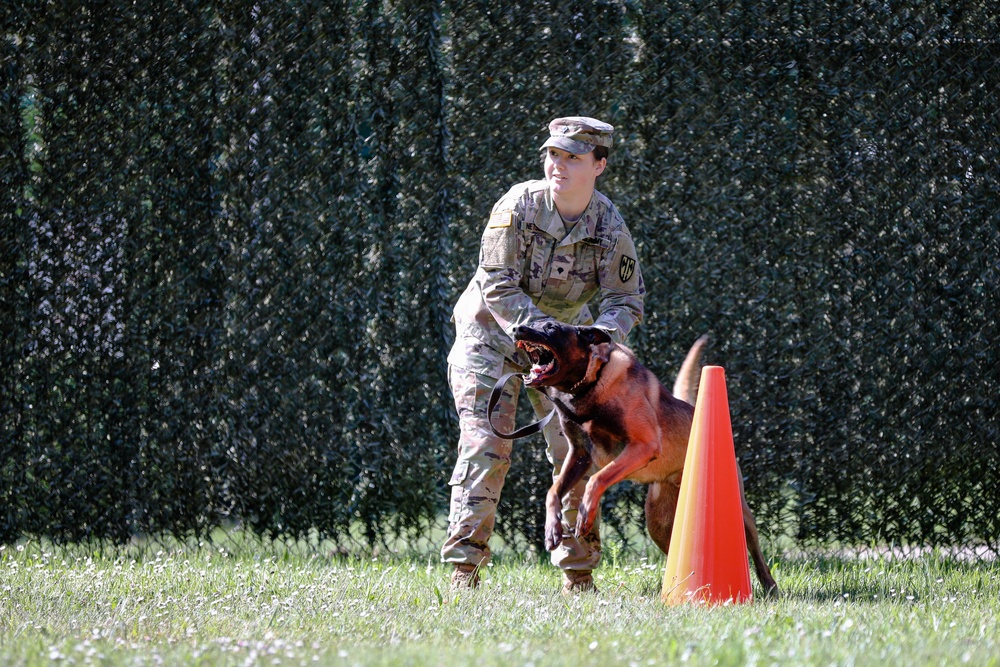 Hardest Hitting Dog Event, 2022 International Working Dog Competition