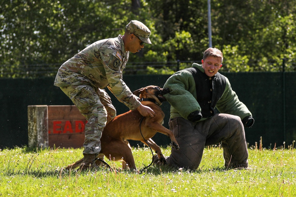 Hardest Hitting Dog event, 2022 International Working Dog Competition