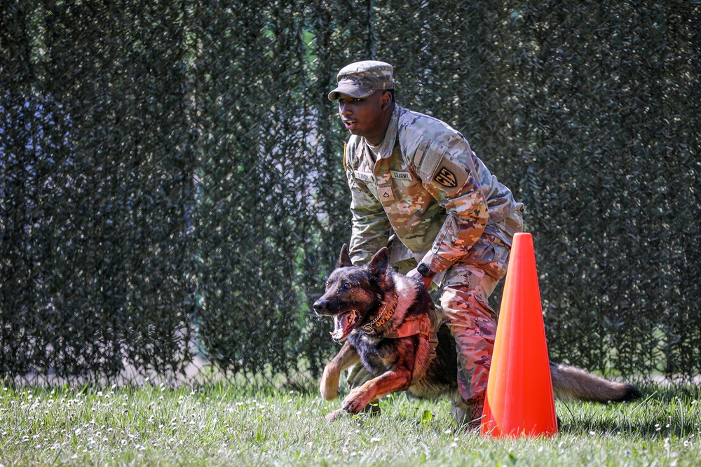 Hardest Hitting Dog Event, 2022 International Working Dog Competition