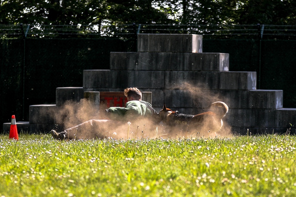 Hardest Hitting Dog Event, 2022 International Working Dog Competition