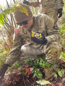 Talysa Lloyd McCall, Joint Base Lewis-McChord Public Affairs