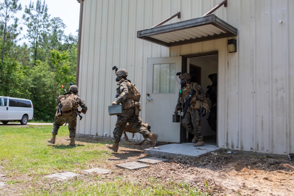 Reserve Marines Support Exercise Raven 22-5