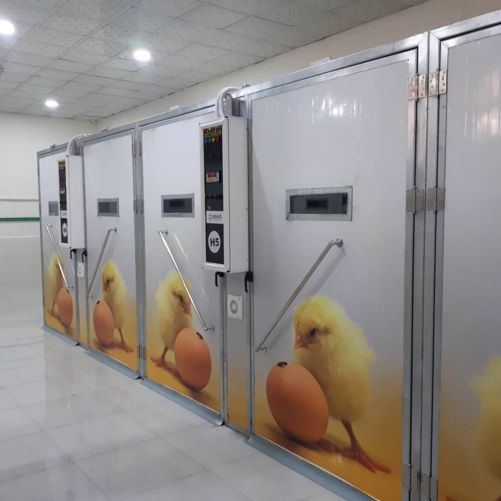 Incubators in the new Hasakah chick hatchery supported by USAID