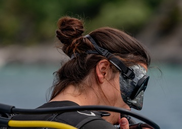 Diving in with the Kadena FSS