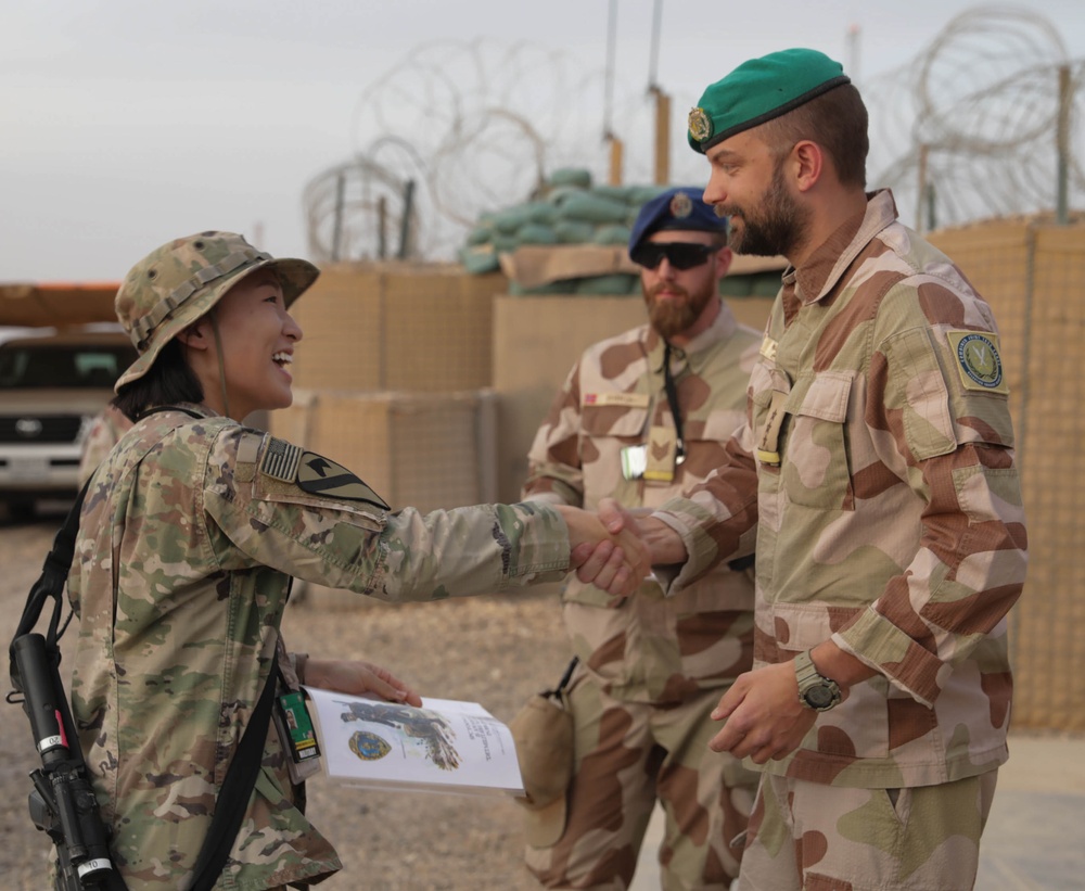 U.S. Soldiers and Coalition partners conduct Norwegian Ruck March at Al Asad Air Base, Iraq