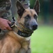 Police Week: Military working dogs, force multiplier