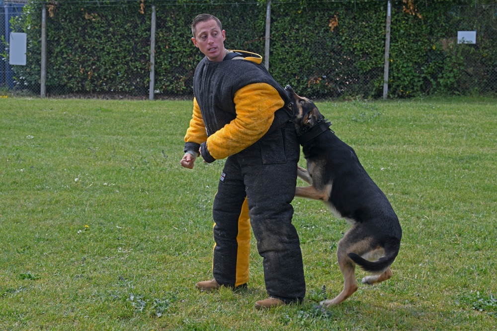 RAFM MWD competition