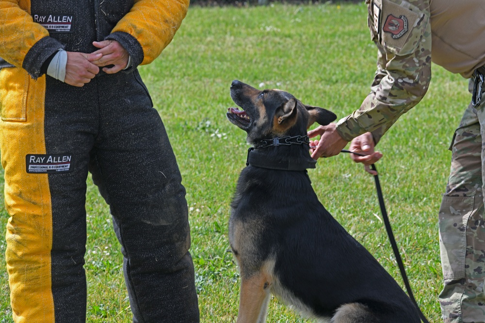RAFM MWD competition