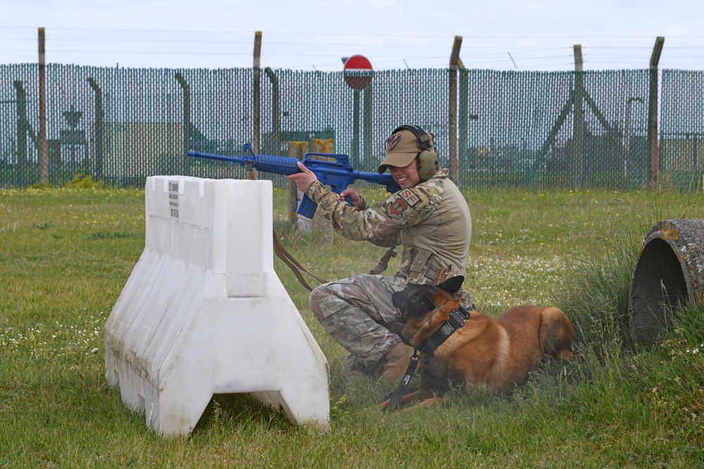 RAFM MWD competition