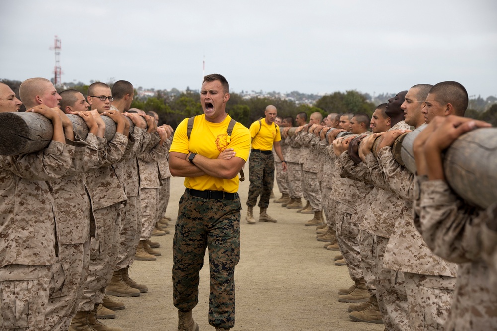 Echo Company Log Drills