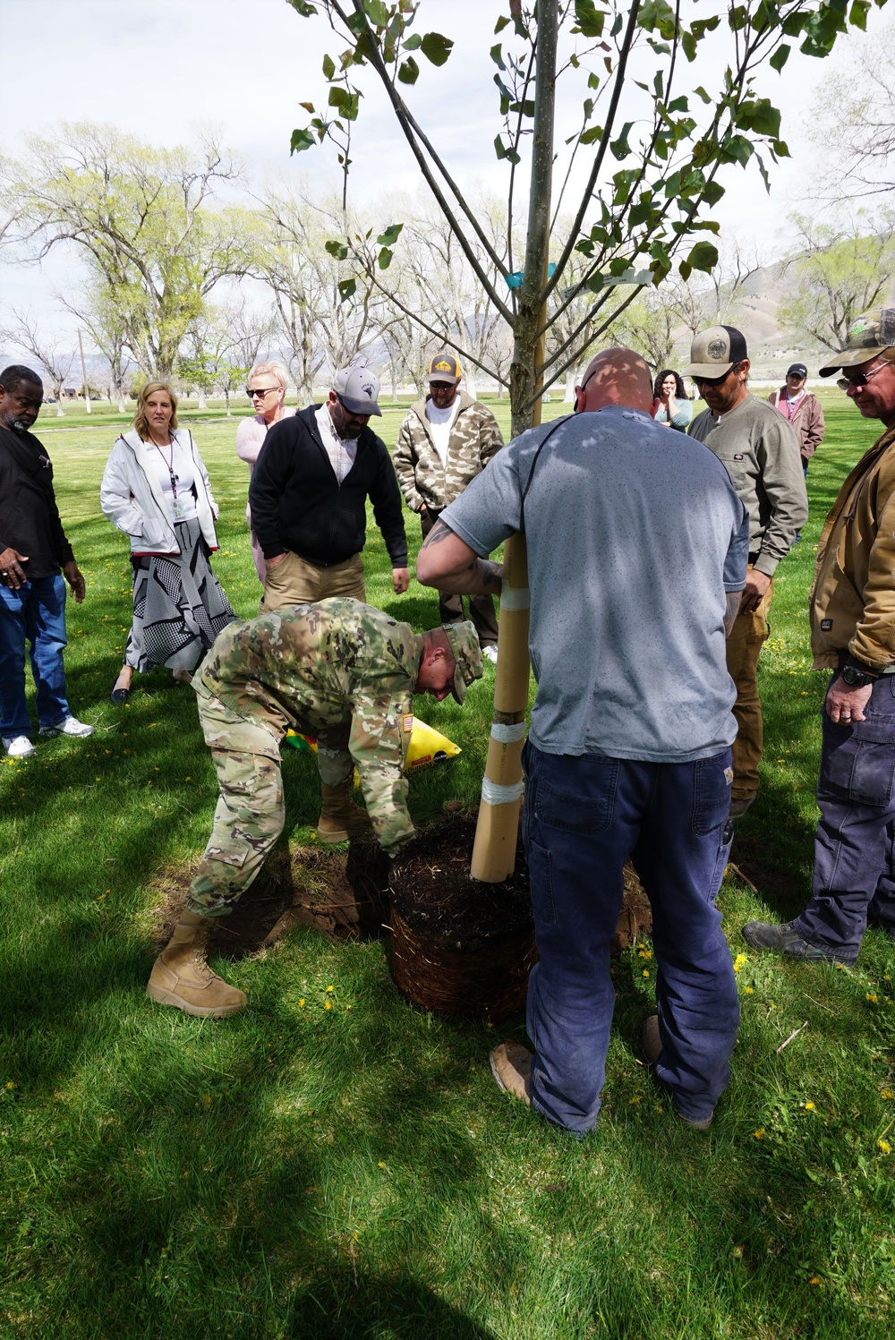 TEAD Arbor Day Commemoration