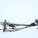 U.S. Service Members and International Partners train with A-10C Thunderbolt II during Swift Response Exercise