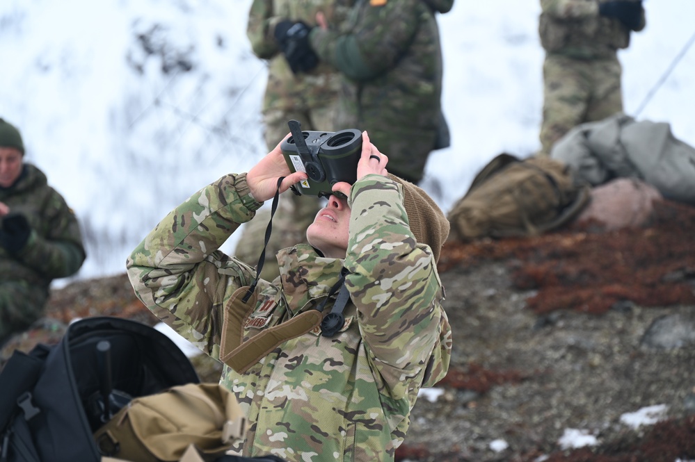 U.S. Service Members and International Partners train with A-10C Thunderbolt II during Swift Response Exercise