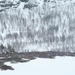 U.S. Service Members and International Partners train with A-10C Thunderbolt II during Swift Response Exercise